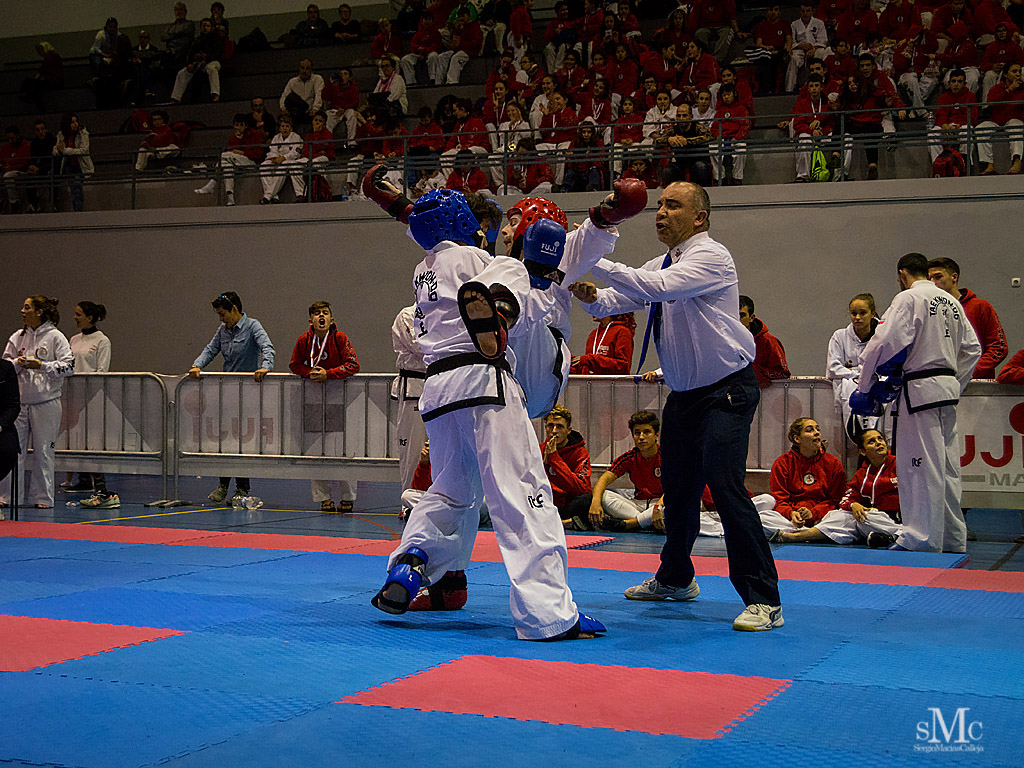 COPA SEUL, 2017  (194).JPG